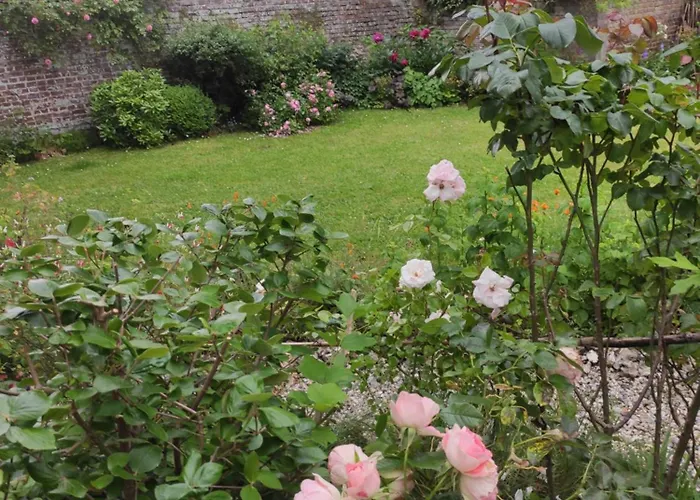 Les Agapanthes Le Bourg-Dun